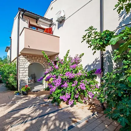 Gala Apartment