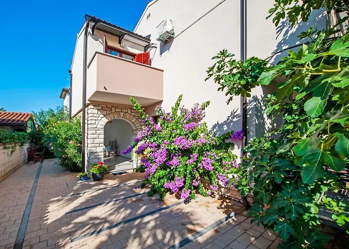 Gala Apartment